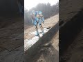 robot song 🤣#shortsvideo