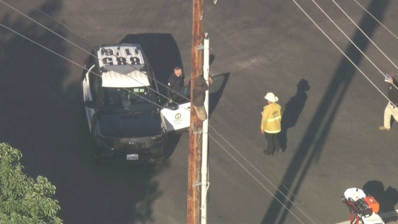 Man still refusing to come down power pole - YouTube