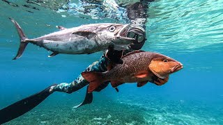 7 Hari Spearfishing Dan Berpetualang Di Pulau Menui | Spearfishing Indonesia