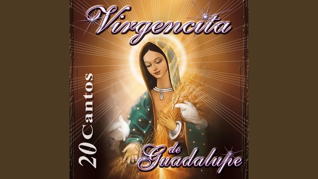 Buenos Días Paloma Blanca