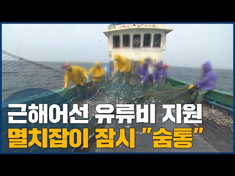 근해어선 유류비 지원 멸치잡이 잠시 &amp;quot;숨통&amp;quot;