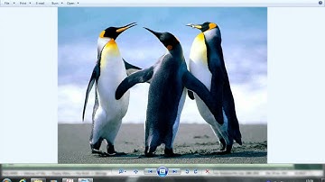 Document Viewing in Tally.ERP9.avi