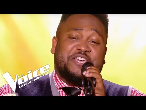 The Voice La Plus Belle Voix