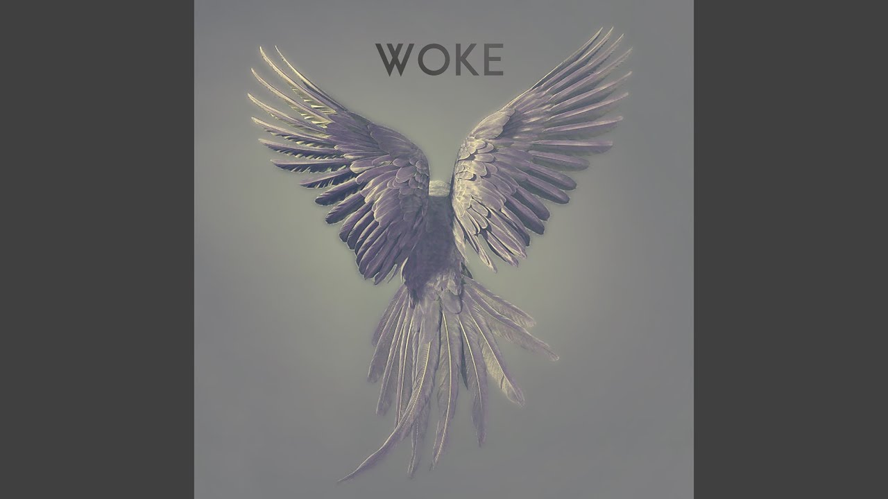 Guarda Woke su YouTube Guarda Woke su YouTube