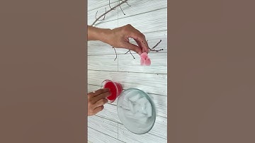 Thumbnail of Diy Plum blossom 🌸 #viral #diy #trending  #shorts #japaneseapricot #beautiful