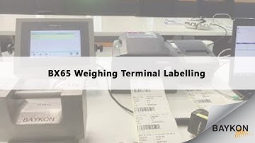 Baykon | BX65 Weighing Terminal Labelling