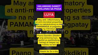 HALAMANG GAMOT PANLUNAS SA PIGSA #trending #viral #short #video #fyp HALAMANG GAMOT PANLUNAS SA PIGSA #trending #viral #short #video #fyp