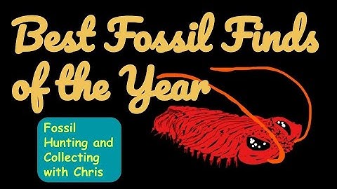 Top Ten Fossil Finds of the Year: Fossil Hunting and Fossil Collecting with Chris Trilobites & Sites