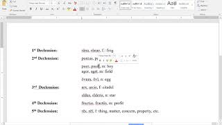 Finding Latin Noun Declensions and Stems