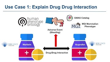 Playbook Workflow Builder - Use Case 1 - Explaining Drug-Drug Interactions