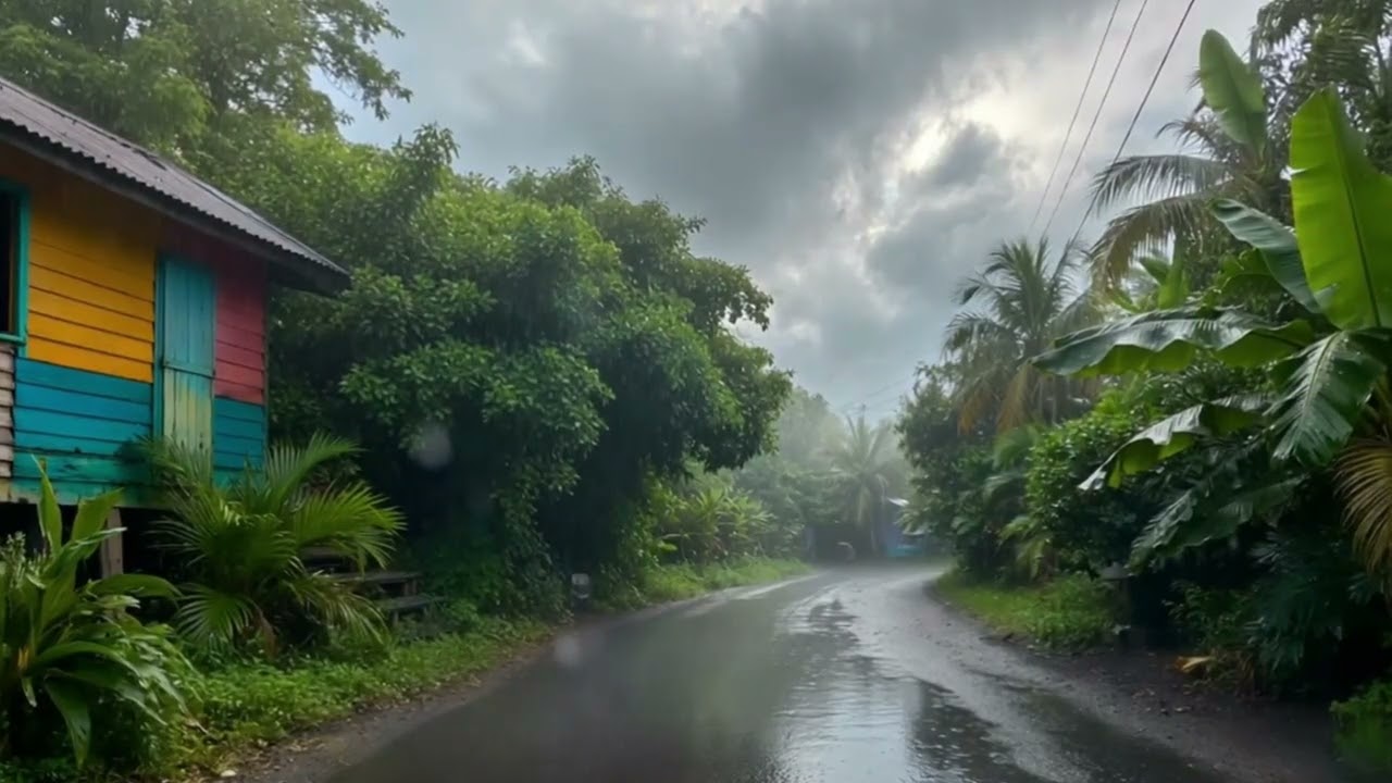 Tropical Rain Video | For Instant Sleep