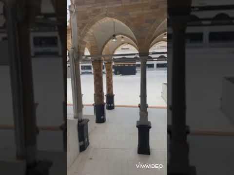 إزالة الغمة داودالمسبب٢٠٢٠