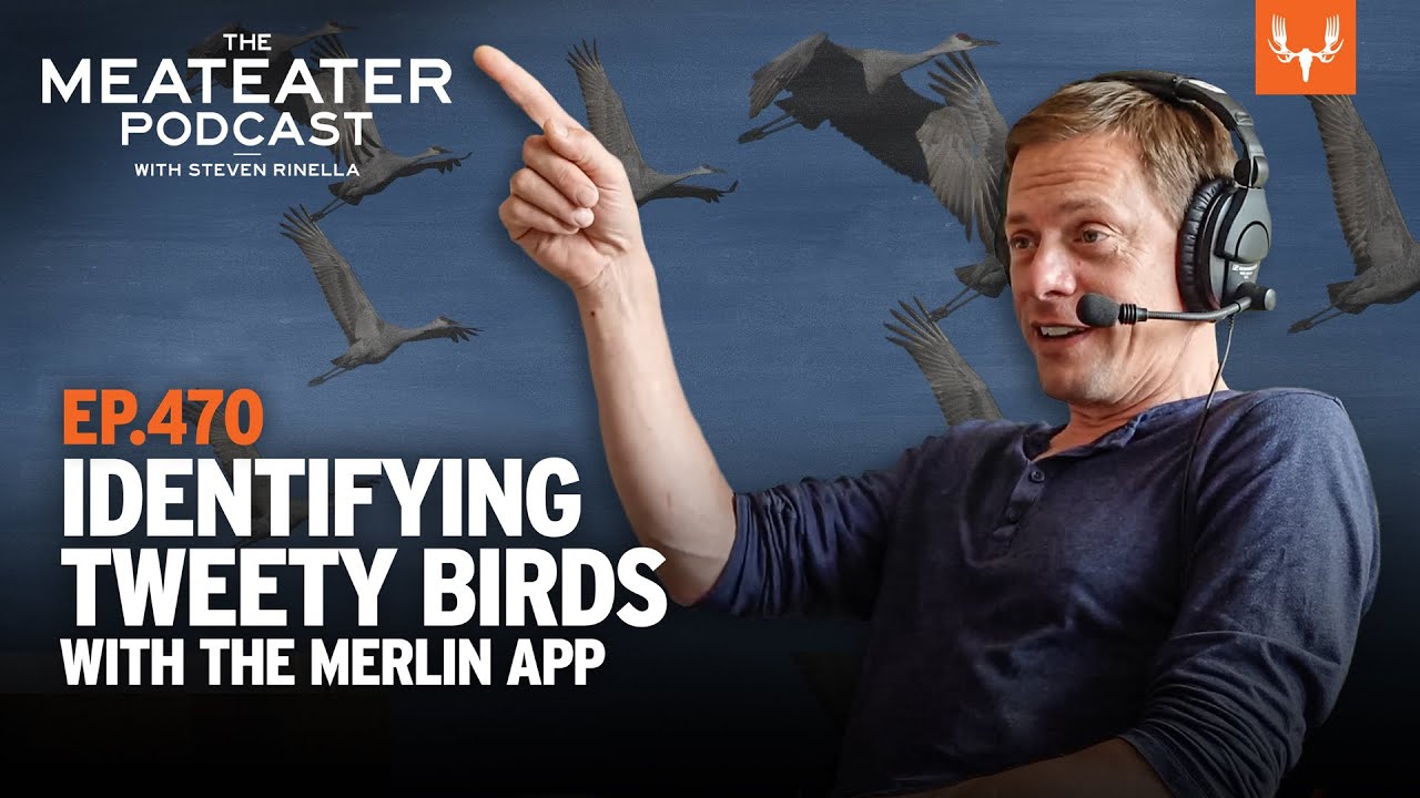 Identifying Birds with the Merlin App The MeatEater Podcast YouTube