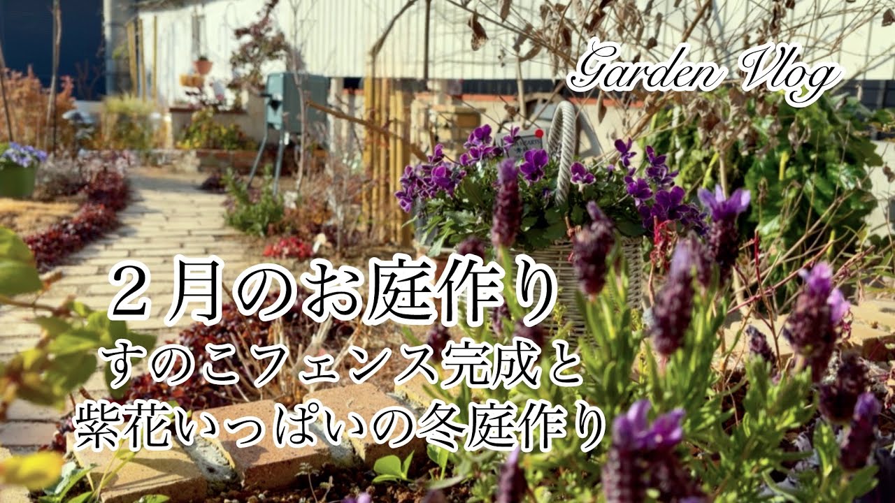 【ガーデニングvlog】２月のお庭作り／モッコウバラ誘引／フランネルフラワーお迎え／ホワイトフェンスDIY／冬花壇の紹介