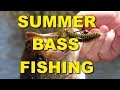 Summer bass fishing techniques and tips  bass fishing