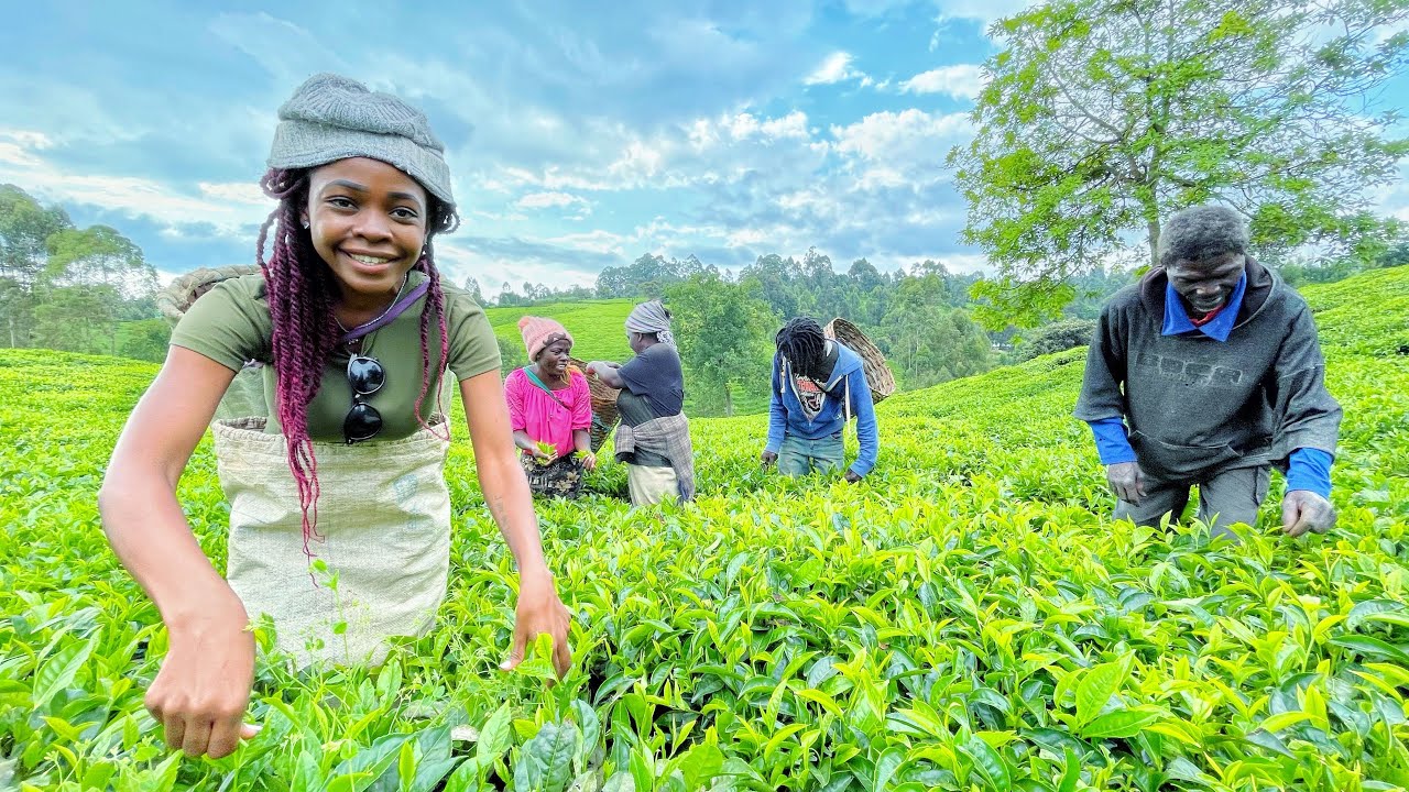 A Day As Tea Farmer In Kenya!/Africas’ Biggest Tea Producer!