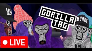 Gorilla tag live stream with you ROad 2 700