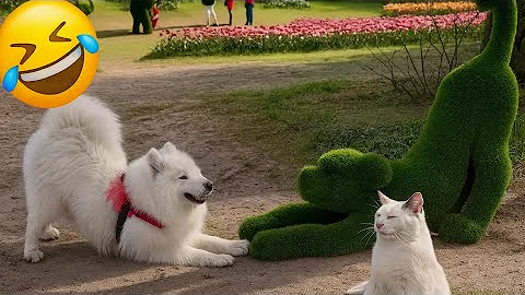 Video 6841291: best pet compilation, funniest pets compilation, best funny animals compilation, cats dogs