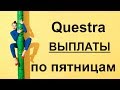 Questra World выплаты по пятницам