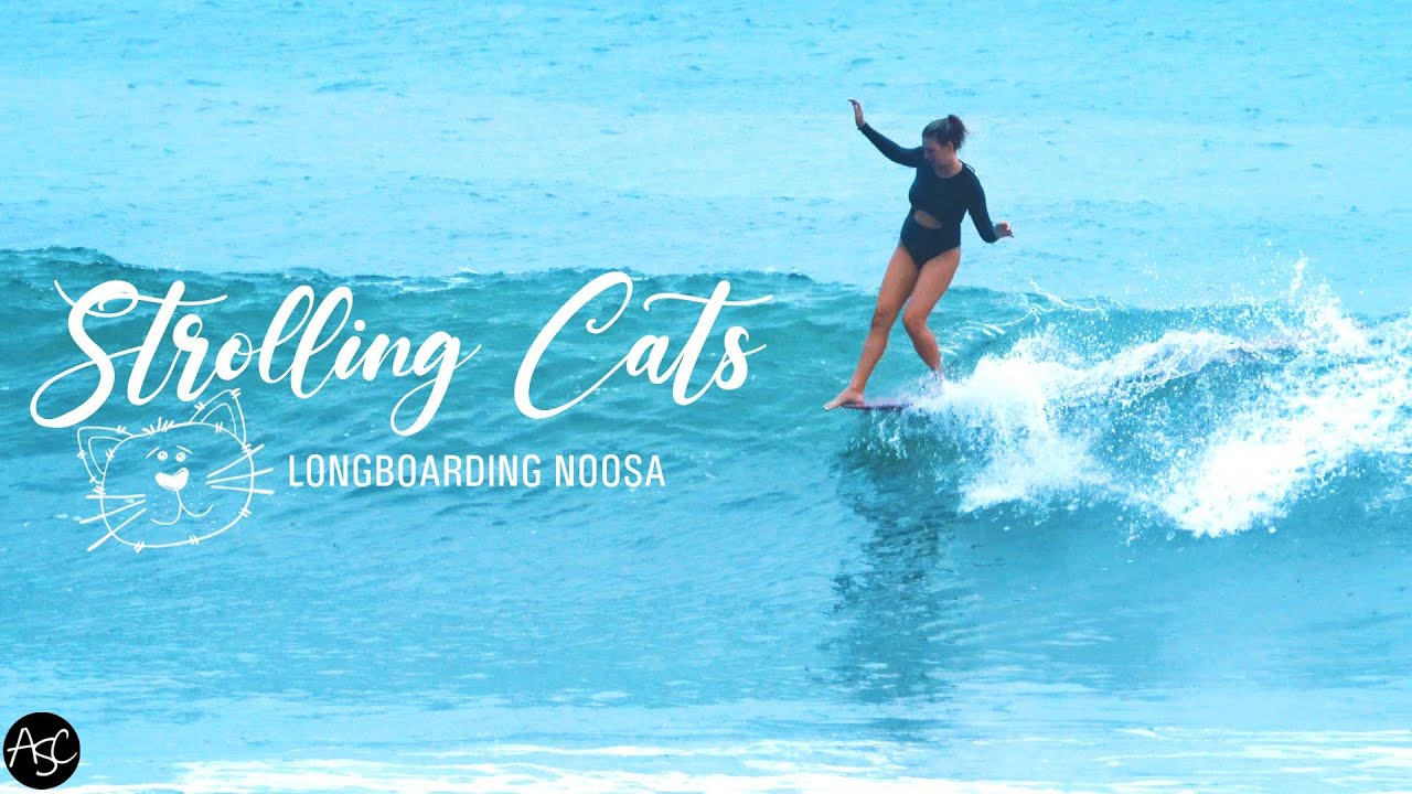 "STROLLING CATS" Longboard Surfing Noosa Heads QLD [4k] YouTube