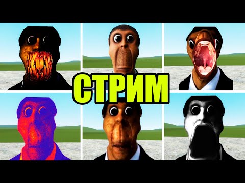 Видео: OBUNGA ГОНЯЕТСЯ ЗА НАМИ ГАРРИС МОД ОБУНГА NEXTBOT Garry's Mod