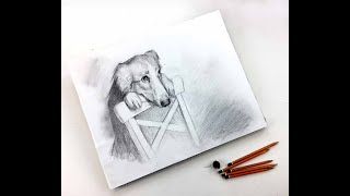 Бесплатный вебинар. Рисунок карандашом «Лучший друг» Бесплатный вебинар. Рисунок карандашом «Лучший друг»