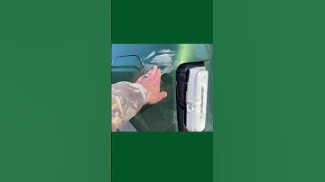 Ford Bronco 🙁 One Thing I Don