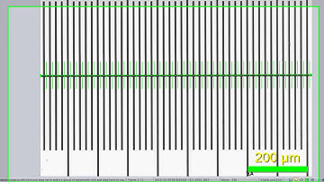 Create a Spatial Calibration Video Tutorial   Image Pro Premier Software