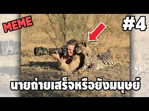 ภาพนี้ก็ฮาเหมือนกันนะเนี้ย #4 SS4 [ พากย์นรก MEME.EXE ] | easy boy