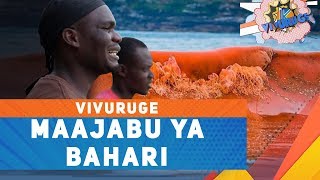 MAAJABU YA BAHARI | #VIVURUGE | MAAJABU YA BAHARI | #VIVURUGE |