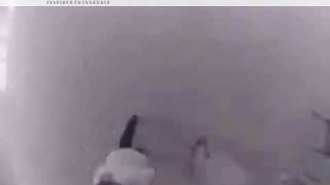 DELOPT LaserVision3D