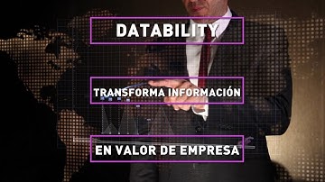 Gestión de datos con Inteligencia Artificial - DATABILITY