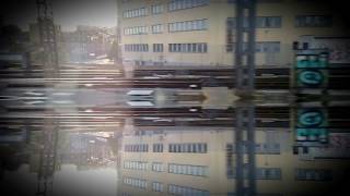 Mars Delight - Saolations