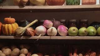 Turp Evde Kış Için Nasıl Korunur Kilerde, Mahzende, Buzdolabında, Düz