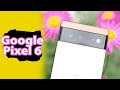 Опыт работы с Google Pixel 6