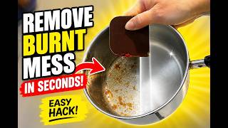 Are food scrapers worth it I am so happy you asked! Honest Review (I've had mine for 5+ years!)