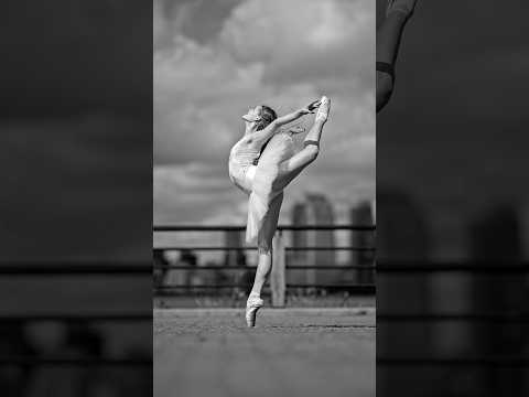 Slow Motion Swan Shorts Ballet Ballerina Dancer