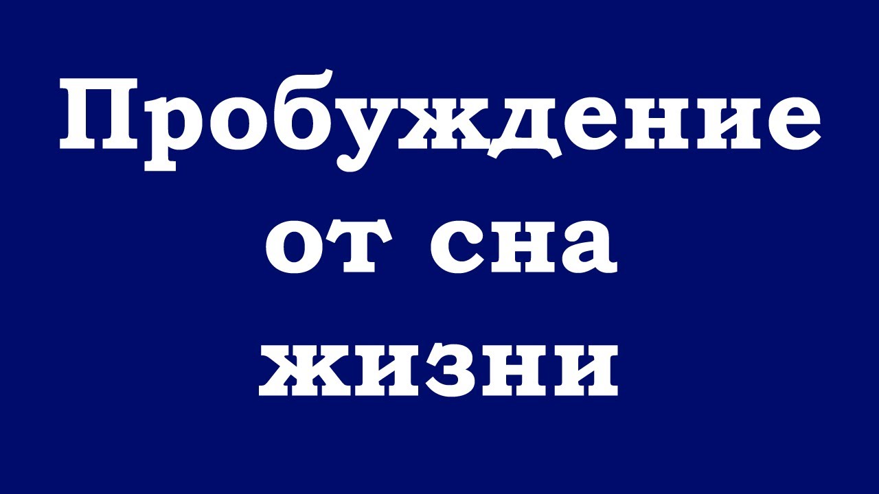 Молодняк устроил групповуху сразу после того как пробудился посреди ночи