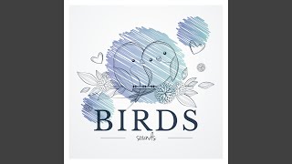 Arctic Warbler screenshot 2