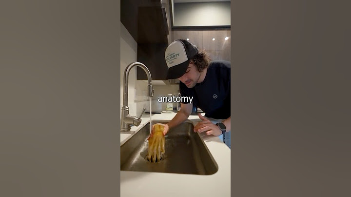 Hand vs Garbage Disposal