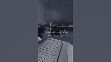 إنا انزلناه في ليلة القدر..  سورة القدر  الشيخ فارس عباد #quran #قران_كريم #ستوريات #حالات_واتس