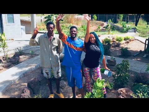 A Homestead Oasis Built From SCRATCH | Self Sustainability & Permaculture in W. Africa  | Ep. 202
