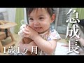 【1歳1ヶ月】1歳になってから著しい成長を見せる娘!!【子育て】