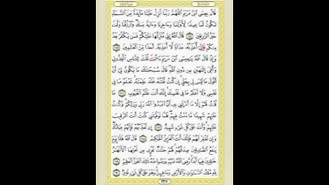 صفحة/١٢٧/ رواية قالون عن نافع/ سورة المائدة/ ابو النور الهادي