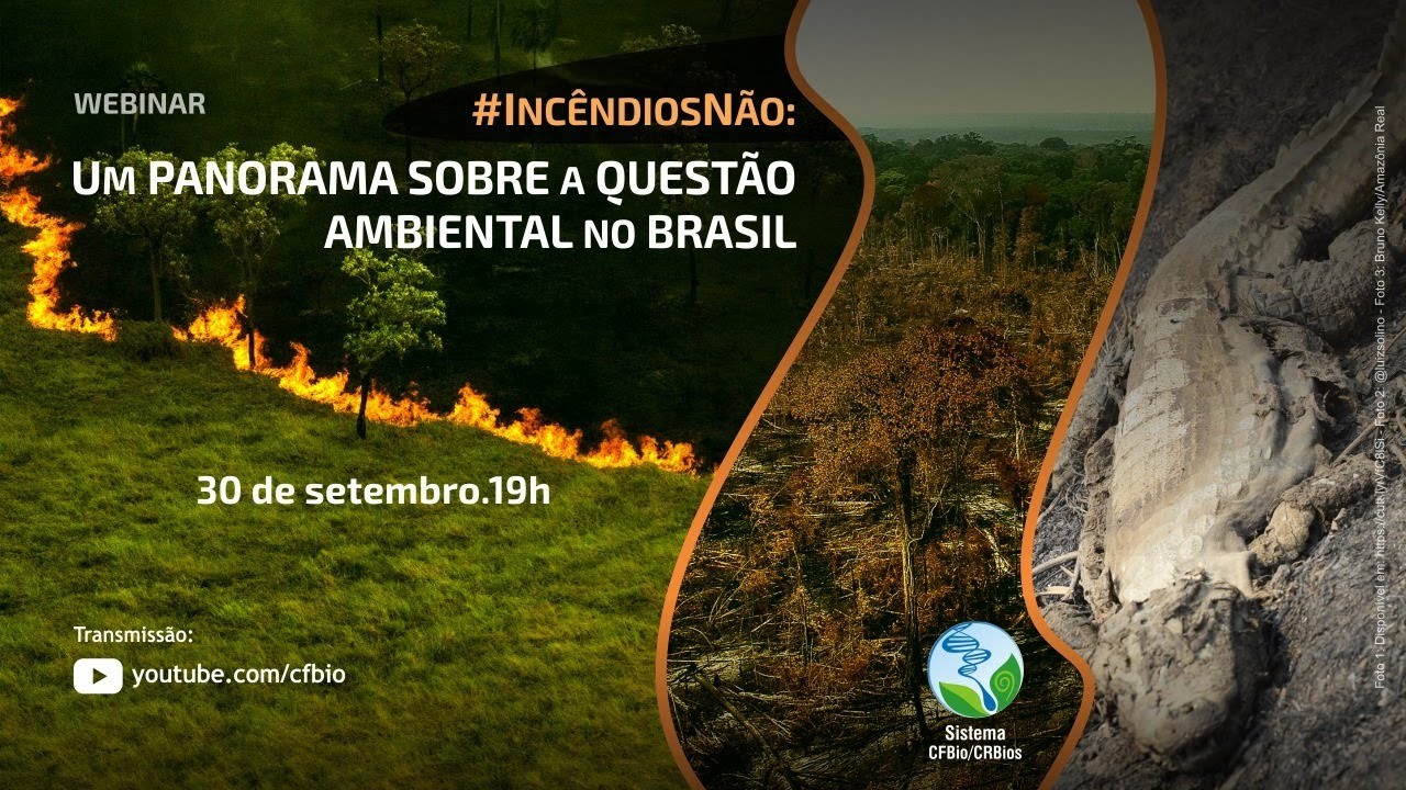 Caminhos Para Reverter O Descaso Ambiental No Brasil