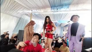 duda araban koplo ~ devri pecut