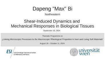 Dapeng "Max" Bi - Shear-Induced Dynamics and Mechanical Responses in Biological Tissues