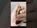 元気なひめうずらと遊んだよ #animal #bird #cute #ペット動画 #鳥 #ひめうずら #ひめうずら研究室 #ペット #癒し #chicken #かわいい