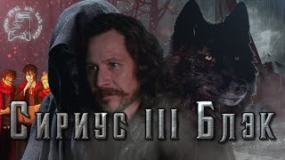 Сириус III  Блэк. Вселенная Гарри Поттера