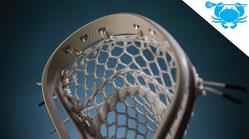 Introducing the DNA: The All-Around Beast